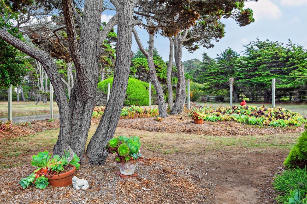 Villa Sunset Point Fort Bragg Exterior foto